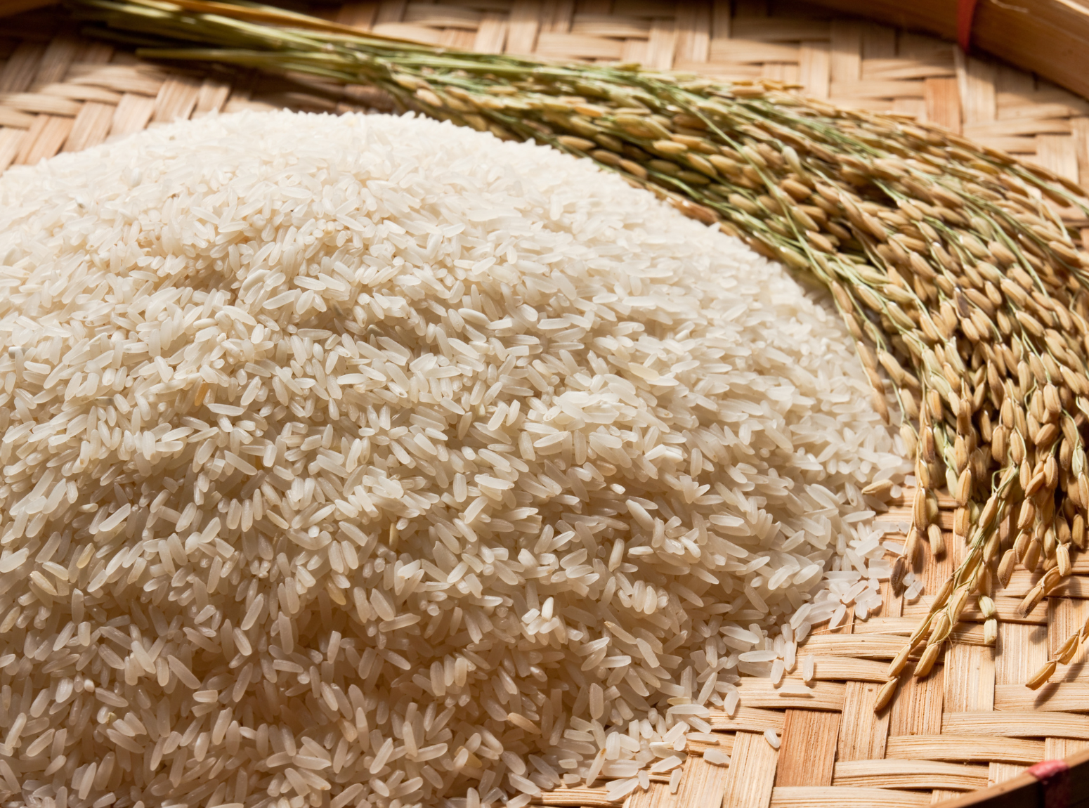 INSIDEOUT - Easy riz aux légumes et haricots