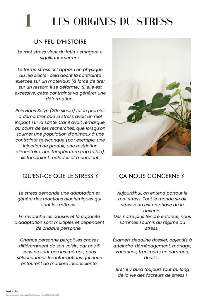 INSIDEOUT - E-book gérer son stress extrait 1