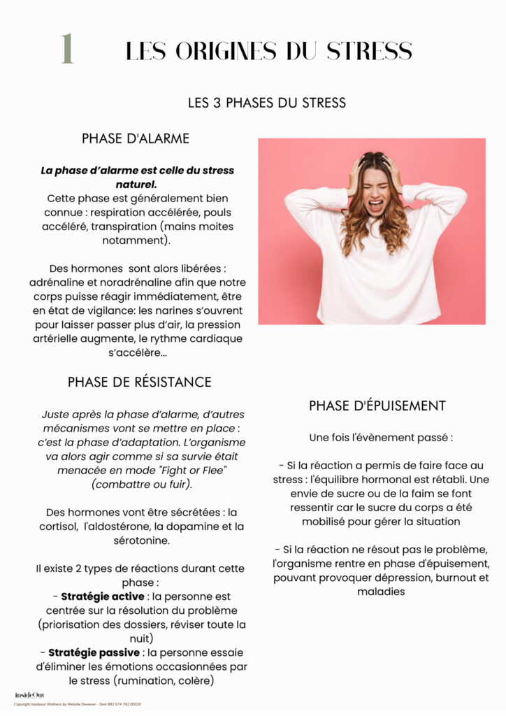 INSIDEOUT - E-book gérer son stress extrait 2