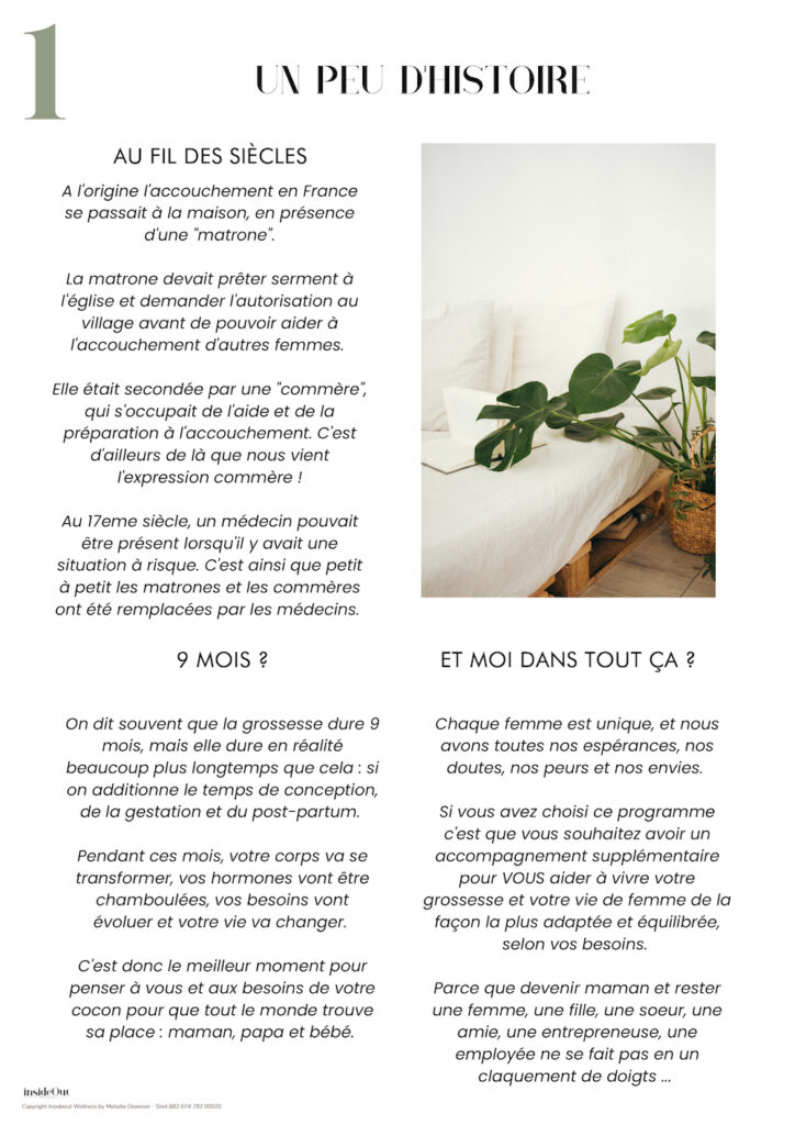 INSIDEOUT - E-book accompagner sa grossesse au naturel extrait 1