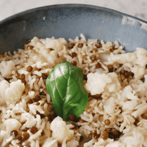 INSIDEOUT WELLNESS - Bowl protéine végétale
